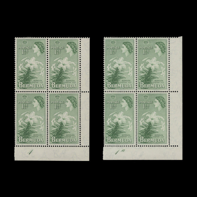 Bermuda 1953 (MNH) 1½d Easter Lily plate blocks