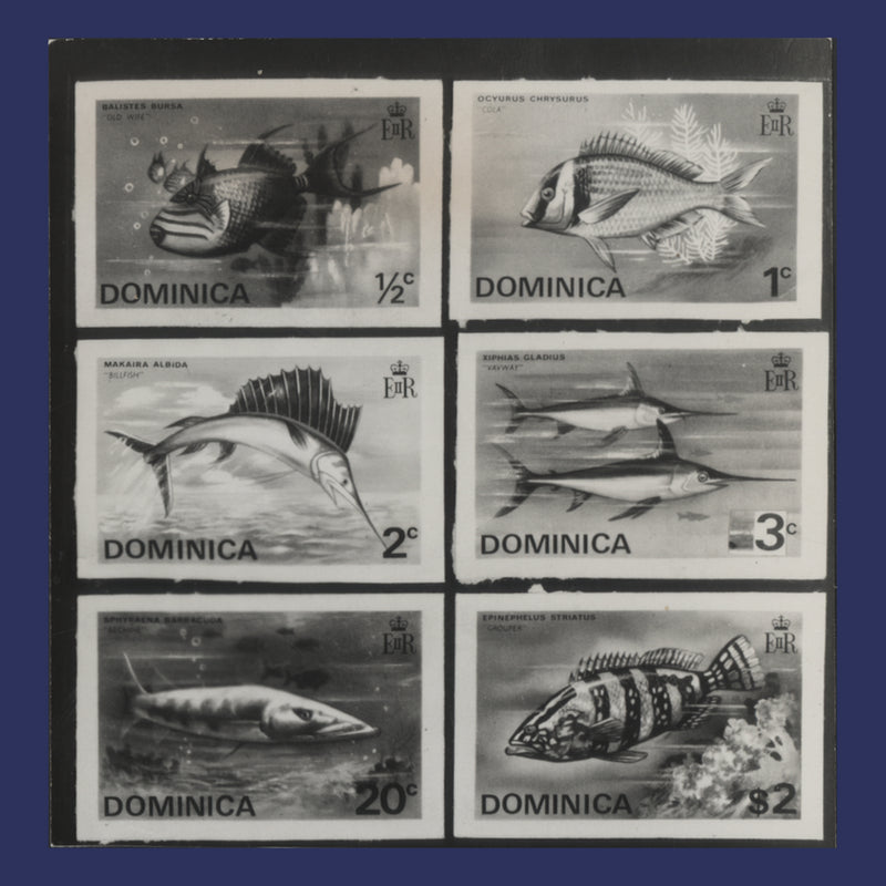 Dominica 1975 Fishes composite photographic proof