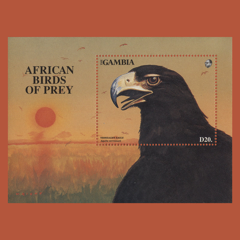 Gambia 1993 (MNH) D20 Verreaux's Eagle miniature sheet