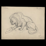 Lion from Cast pencil and ink sketch by Harold J Bard