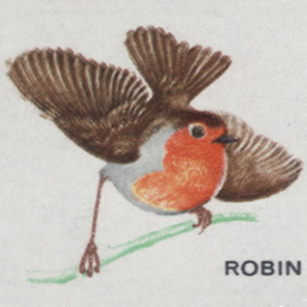 1966 British Birds