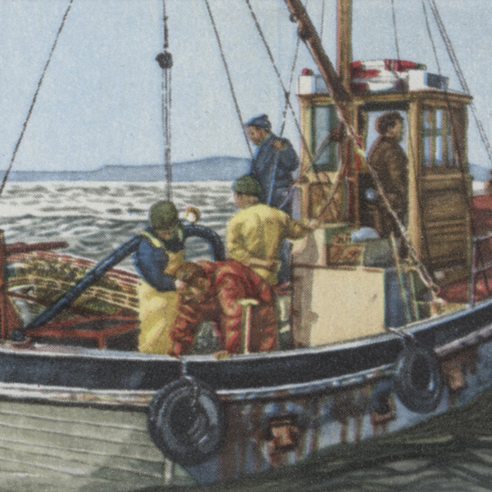1981 Fishing Industry