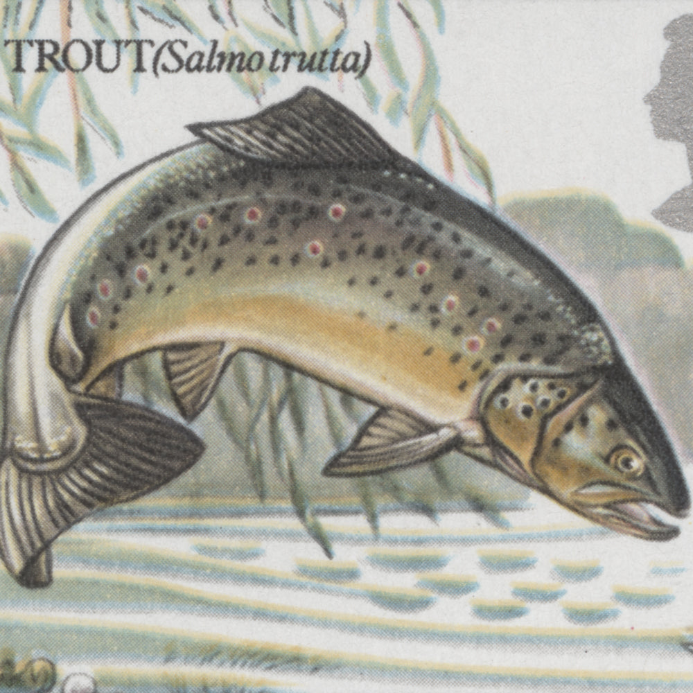 1983 British River Fish