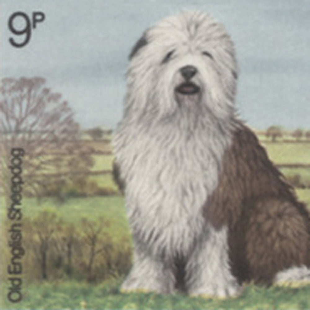 1979 British Dogs