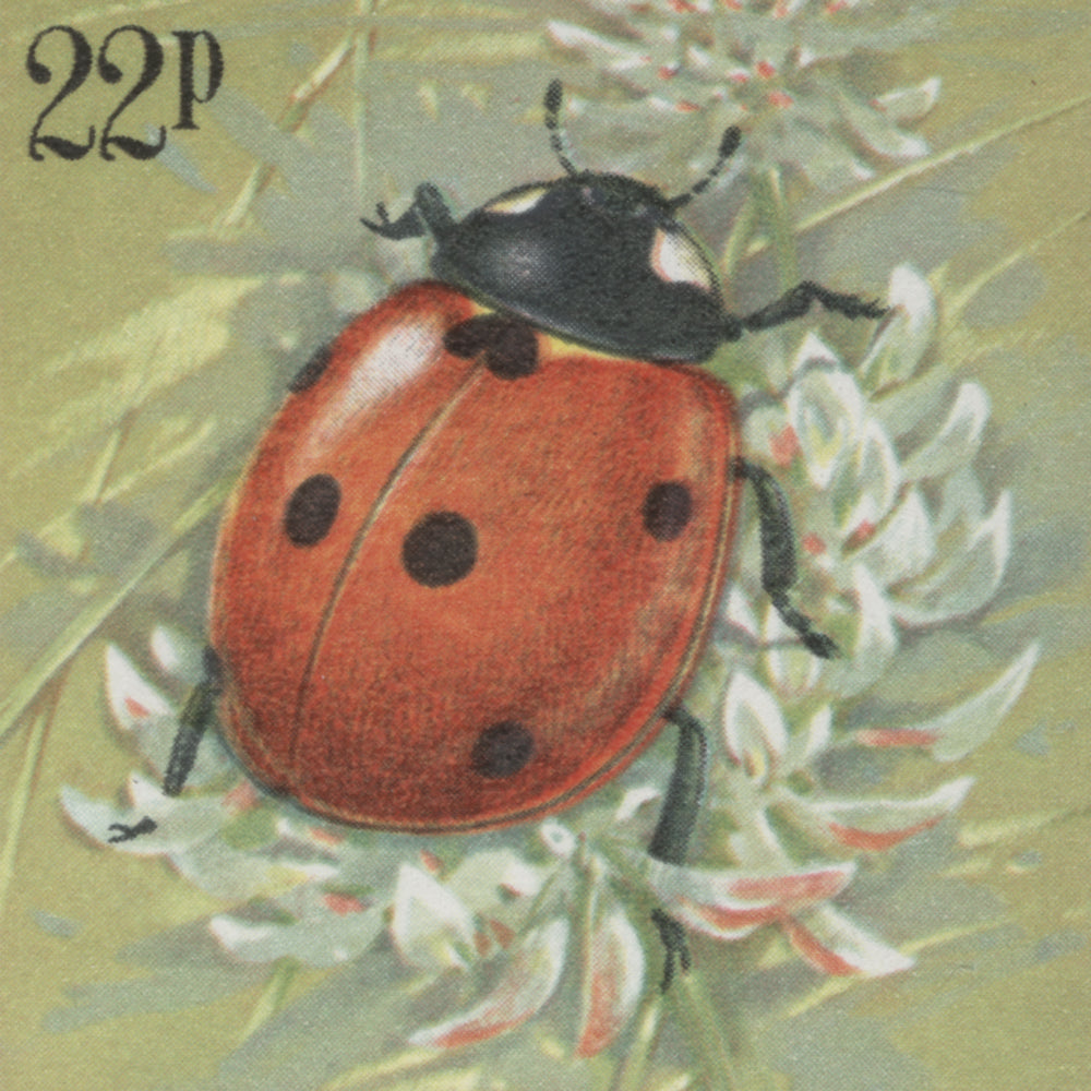 1985 Insects