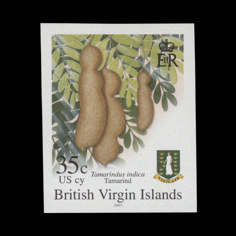 British Virgin Islands 2007 Tamarind imperforate proof single