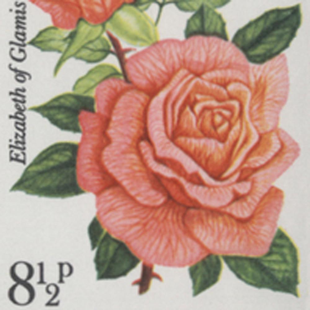 1976 Royal National Rose Society Centenary