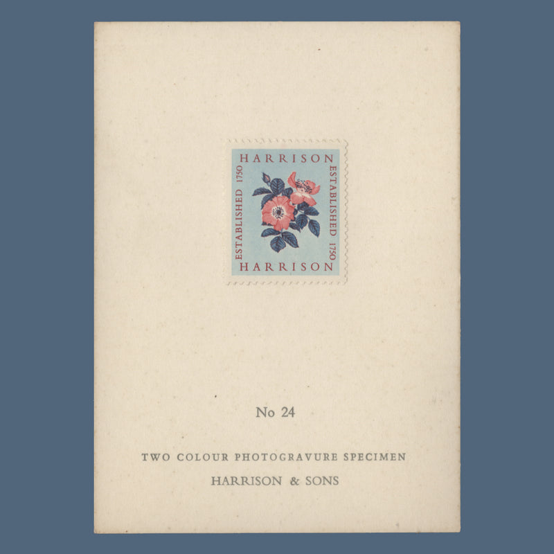 1954 Harrison two-colour Alexandra Rose presentation card, no 24
