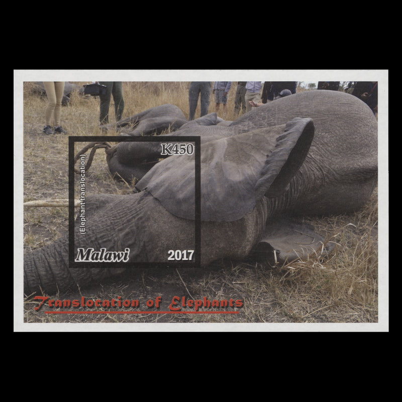 Malawi 2018 (Variety) K450 Translocation of Elephants imperf minitaure sheet