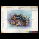 Penrhyn 1993 Pyjama Nudibranch watercolour artwork and overlay