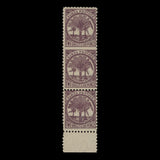 Samoa 1898 (Variety) 2s 6d Palm Trees strip imperf between stamps