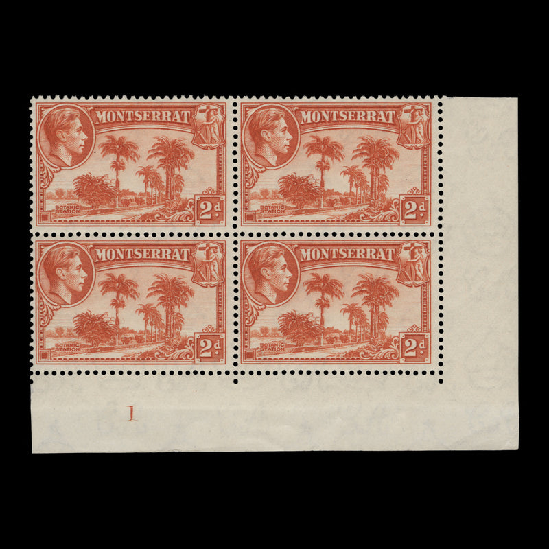 Montserrat 1938 (MNH) 2d Botanic Station plate 1 block, perf 13 x 13
