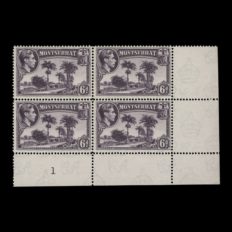 Montserrat 1942 (MNH) 6d Botanic Station plate 1 block, perf 14 x 14