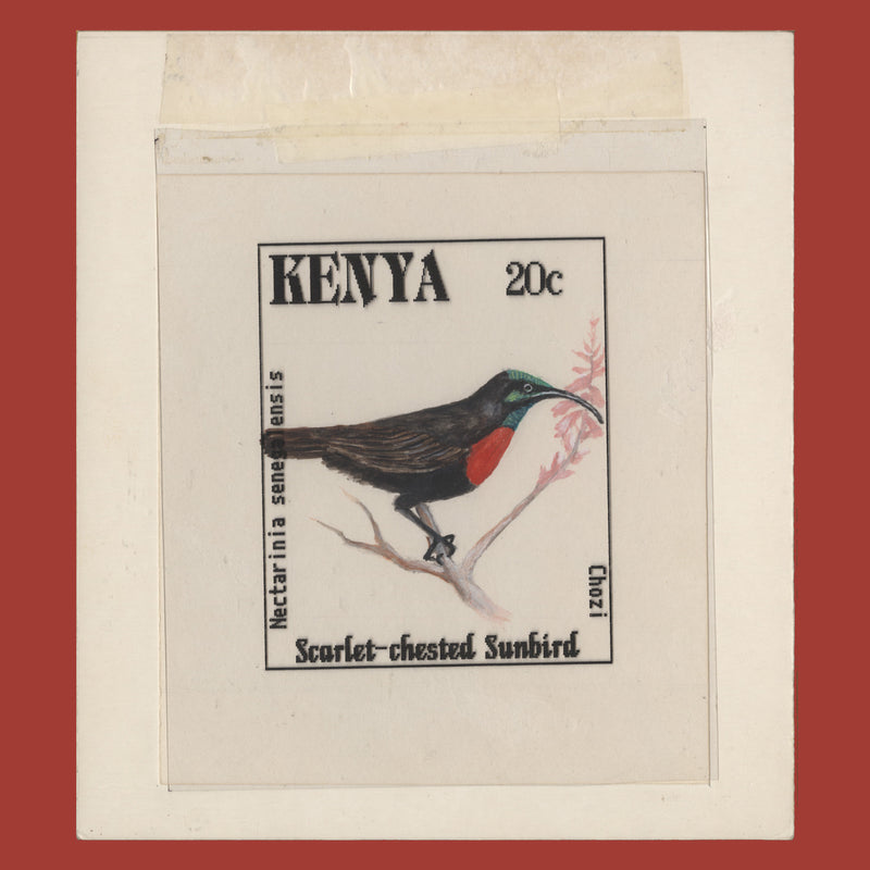 Kenya 1993 Scarlet-Chested Sunbird watercolour essay by Dvora Bochman