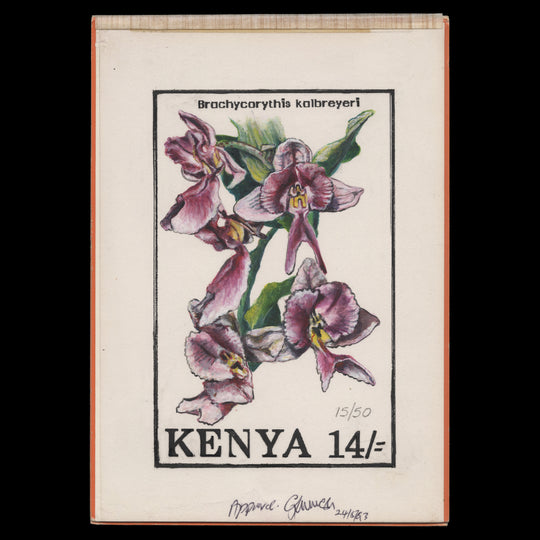 Kenya 1994 Brachycorythis Kalbreyeri watercolour artwork by Dvora Bochman