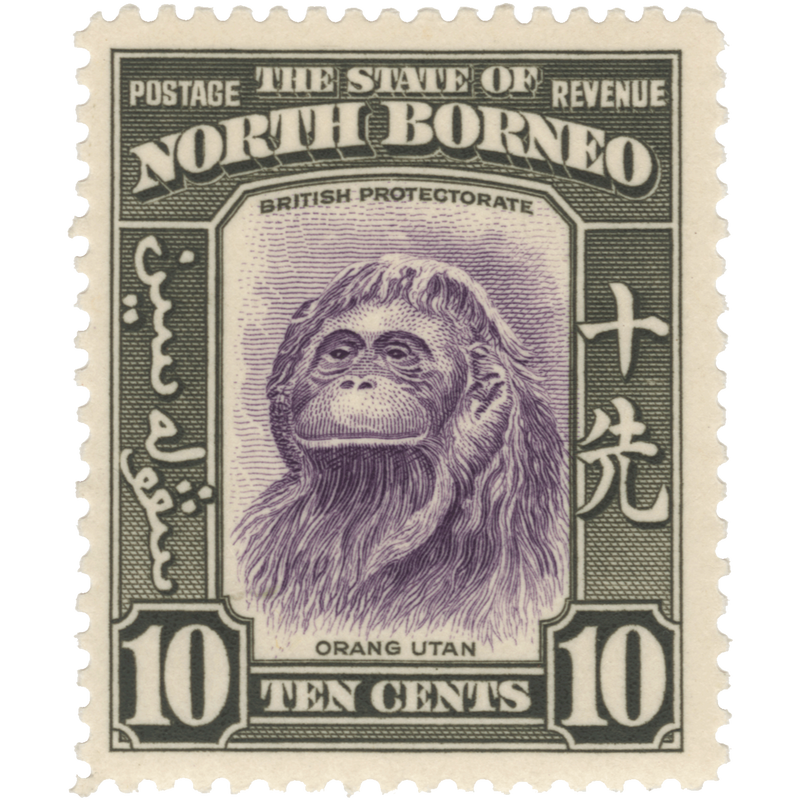 North Borneo 1939 (MNH) 10c Orangutan