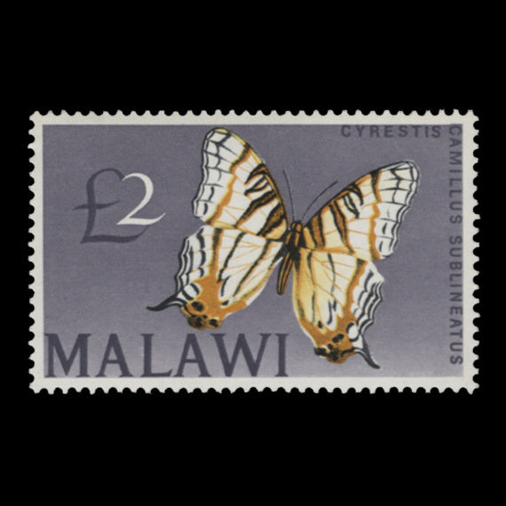 Malawi 1966 (MNH) £2 Cyrestis Camillus