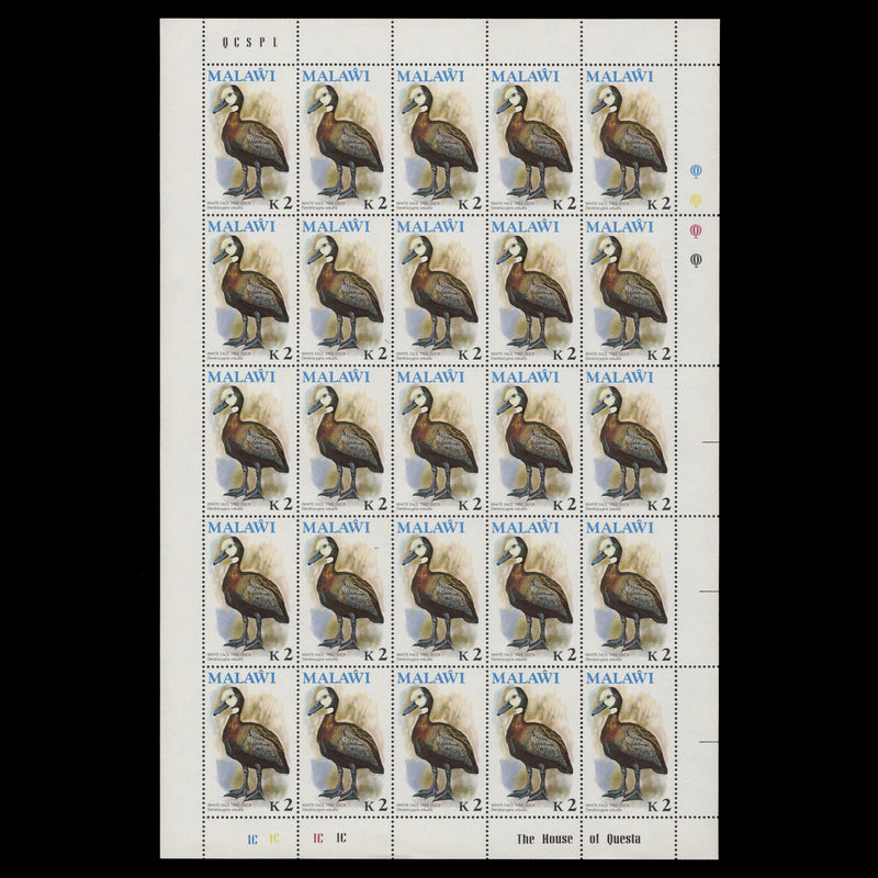 Malawi 1975 (MNH) K2 White-Faced Tree Duck pane of 25 stamps