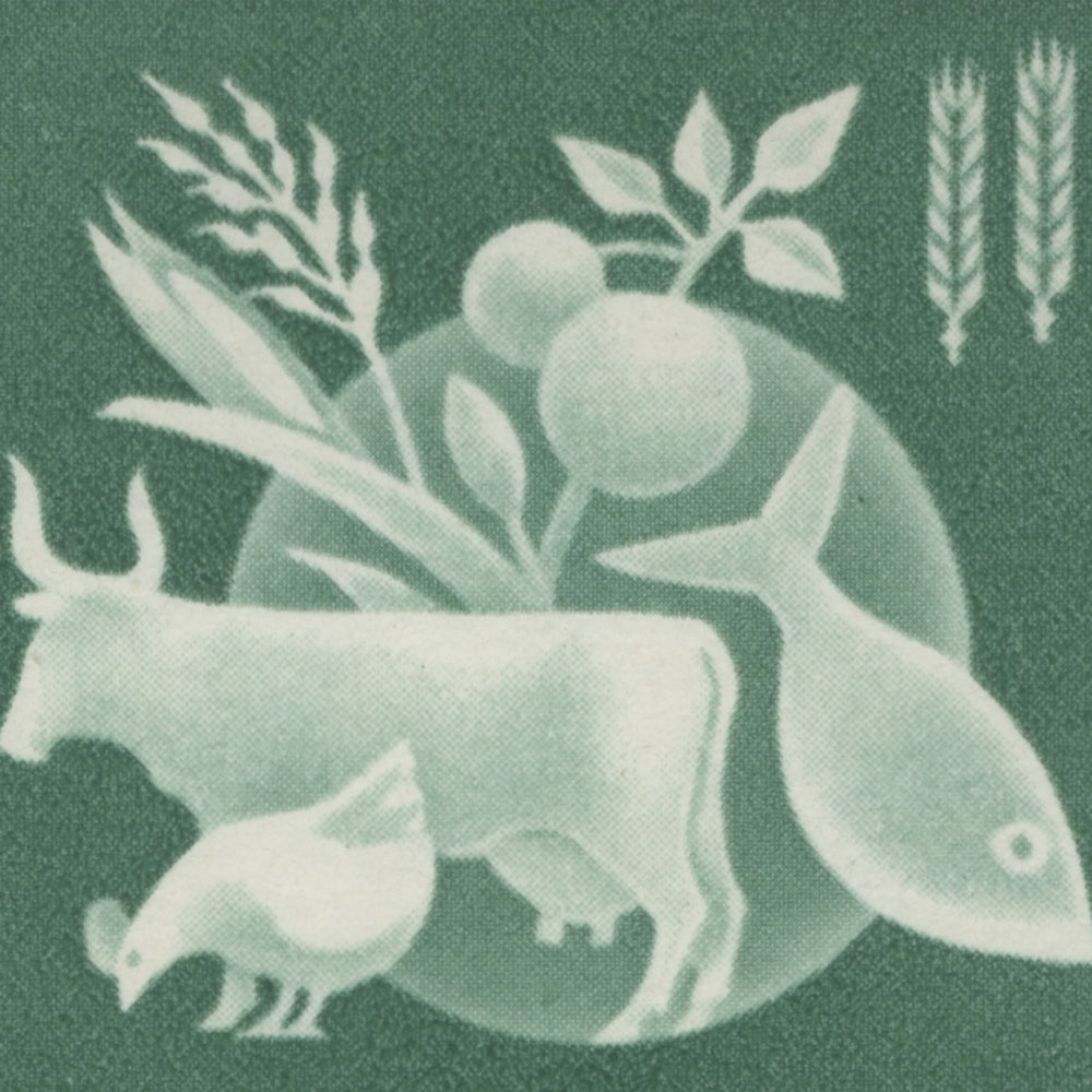 1963 Freedom From Hunger