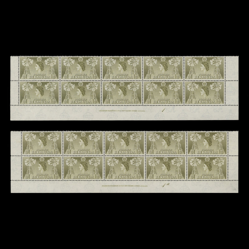 Bermuda 1953 (MNH) ½d Easter Lilies imprint/plate blocks in olive-green