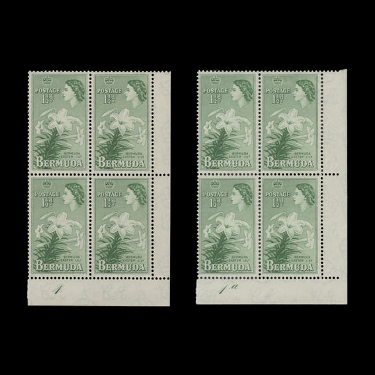Bermuda 1953 (MNH) 1½d Easter Lily plate blocks