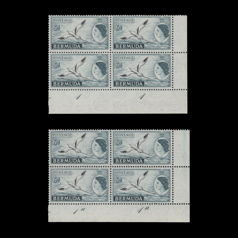 Bermuda 1953 (MNH) 6d White-Tailed Tropic Bird plate blocks