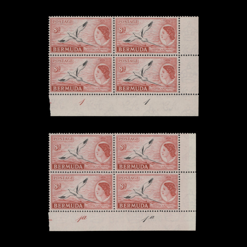 Bermuda 1955 (MNH) 8d White-Tailed Tropic Bird plate blocks