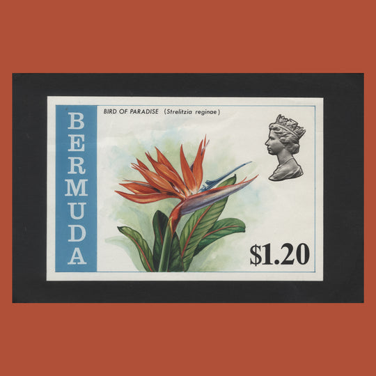 Bermuda 1970 Bird of Paradise watercolour tender essay by Gordon Drummond