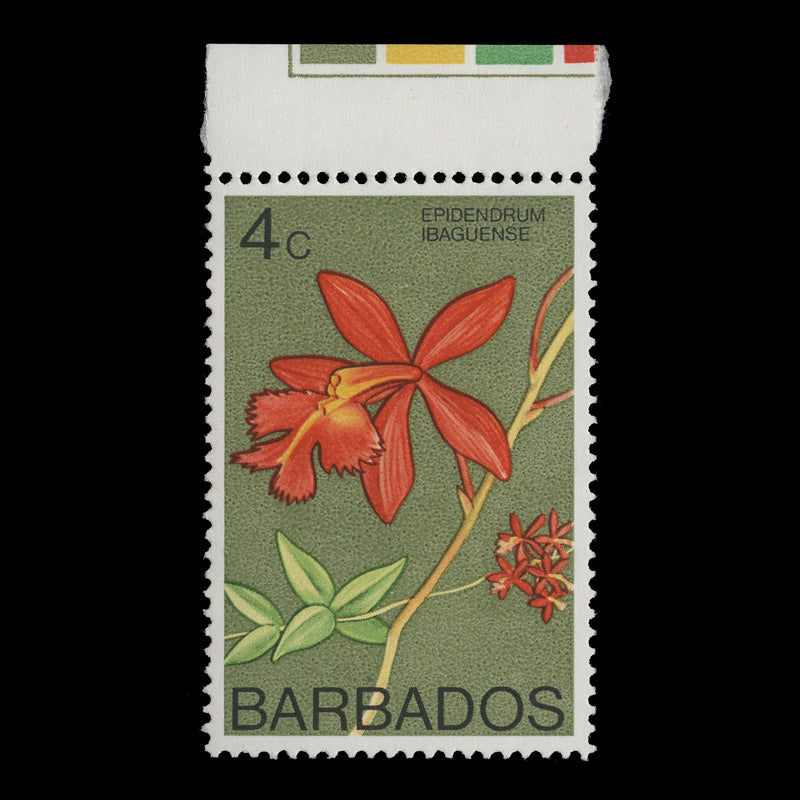 Barbados 1974 (Variety) 4c Epidendrum Ibaguense with watermark to right