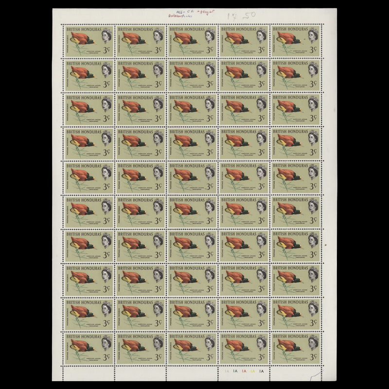 British Honduras 1962 (MNH) 3c American Jacana sheet of 50 stamps, bright background