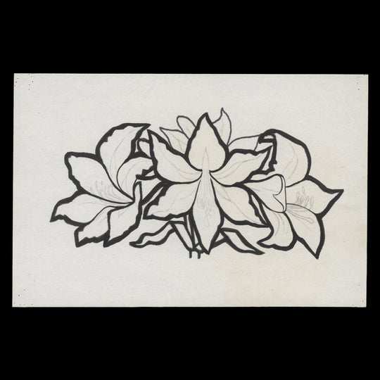 British Honduras 1971 Hippeastrum Equestre pen and pencil artwork