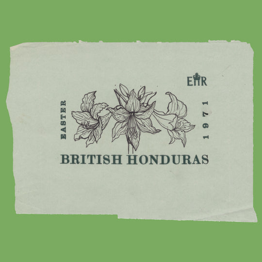 British Honduras 1971 Hippeastrum Equestre pen artwork