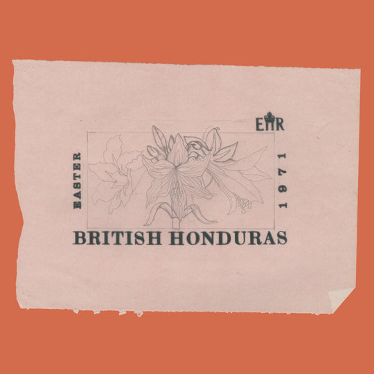 British Honduras 1971 Hippeastrum Equestre pencil artwork