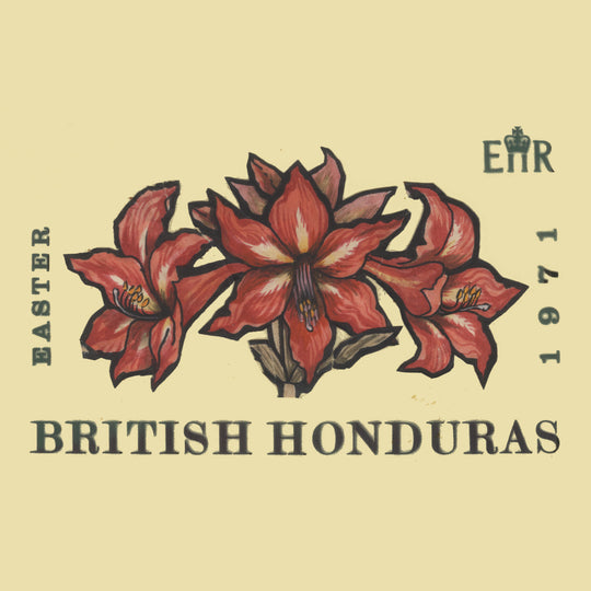 British Honduras 1971 Hippeastrum Equestre watercolour artwork