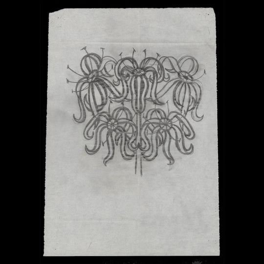 British Honduras 1971 Hymenocallis Littorallis preliminary artwork in pencil