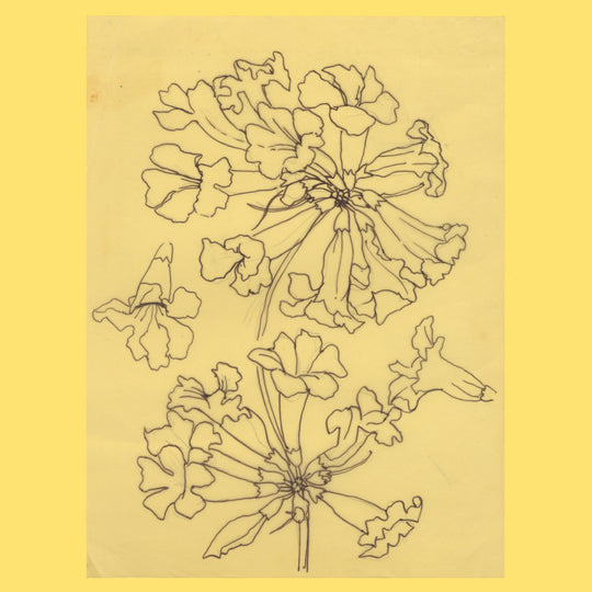 British Honduras 1971 Tabebuia Chrysantha preliminary artwork in pen