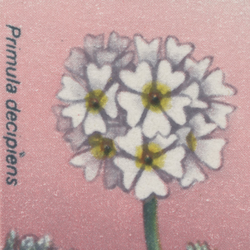 Falkland Islands 1972 (Variety) ½p Dusty Miller pair with 'i' flaw