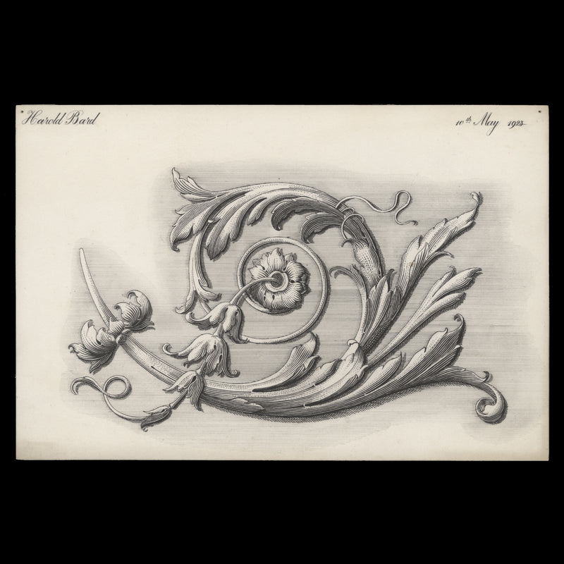 Decorative Floral and Acanthus Leaf ink drawing by Harold J Bard