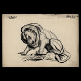 Lion from Cast ink sketch by Harold J Bard