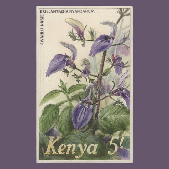 Kenya 1983 Mbake Nyanza watercolour essay