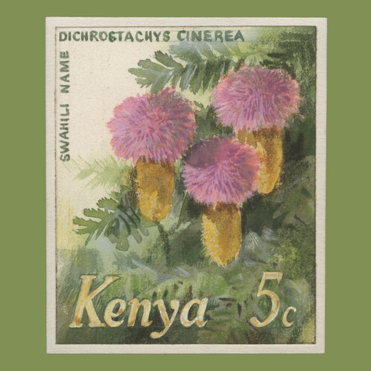 Kenya 1983 Shade Zambarau watercolour essay