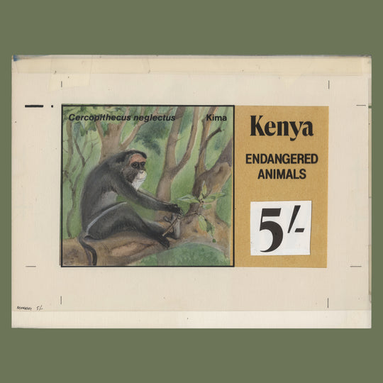 Kenya 1985 De Brazza's Monkey watercolour artwork by Rena Fennessy