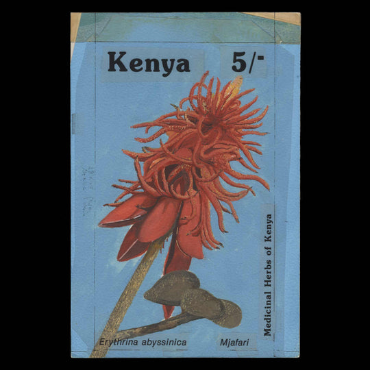 Kenya 1987 Medicinal Plants, Erythrina Abyssinica watercolour artwork
