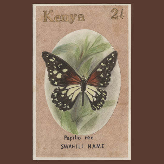 Kenya 1988 Papilio Rex watercolour essay
