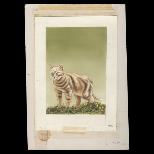 Kenya 1995 Cat/KSPCA watercolour artwork by Hmeed Moghul