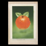 Kenya 1997 Orange watercolour artwork by Hmeed Moghul