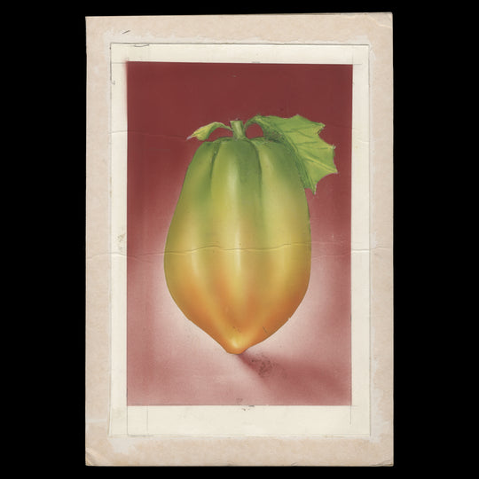 Kenya 1997 Pawpaw adopted watercolour artwork