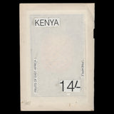 Kenya 1997 Pineapple watercolour artwork by Hmeed Moghul