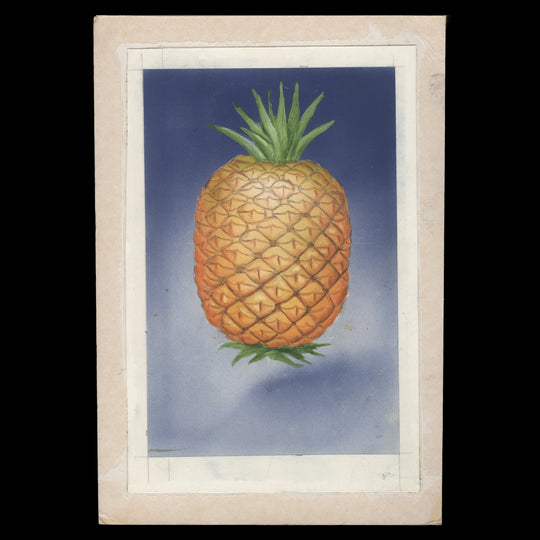 Kenya 1997 Pineapple watercolour artwork by Hmeed Moghul