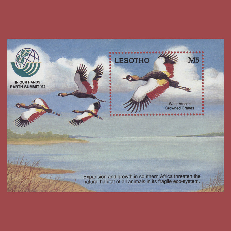 Lesotho 1993 (MNH) 5m Crowned Crane miniature sheet